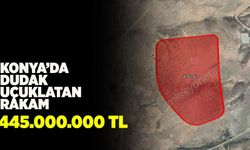 Konya'da Dudak Uçuklatan Rakam