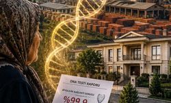 75 Yaşında Gelen Gerçek: DNA Testiyle 1 Milyarlık Mirasın Ortağı Oldu