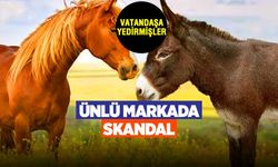 Bakanlık ifşa etti: Ünlü markanın sucuklarından at ve eşek eti çıktı
