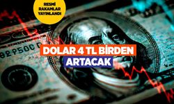 Merkez Bankası Anketini Açıkladı: Yıl Sonu Dolar ve Enflasyon Ne Olacak?