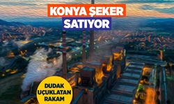 Konya Şeker Soma Termik Santrali'nden çıkıyor: Satış tarihi belli oldu