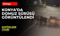 Konya’da Korkutan Anlar: Sürü Halinde Yola İndiler!