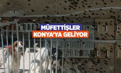 Konya’ya müfettiş yolda! Barınaklar mercek altında