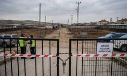 Akşehir Mal Pazarı Kapatıldı: Ilgın Sonrası Veba Alarmı