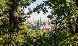 Bozkırın Yeşil Mucizesi: Konya Orman Varlığında 6. Sırada