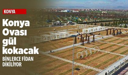 Konya Ovası'nda imkansızı başaracaklar