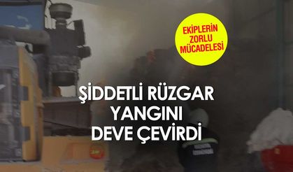 Konya Ereğli'de dev yangın! İki ilçe itfaiyeleri söndürdü