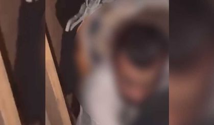 Konya'da dolaptan kaçak çıktı