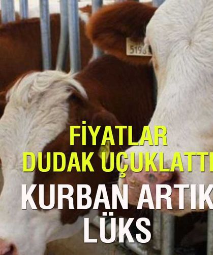 Kurban Hisse Fiyatları Uçtu: İbadet Artık Lüks