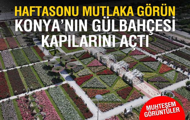 Konya'da 50 bin gonca açtı, ziyaretçilerini bekliyor