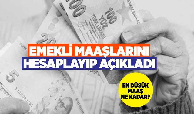 Emeklilere Yapılacak Zam Beklentileri Hayal Kırıklığı Yarattı: En Düşük Maaş Açlık Sınırının Altında Kalacak