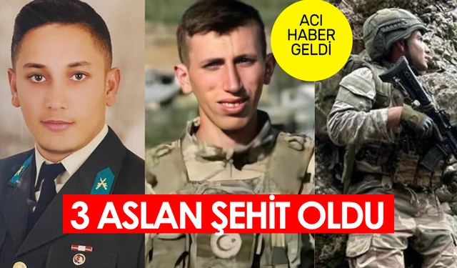 Şehitlerimizin kimlikleri açıklandı! Pençe-Kilit'ten 3 acı haber