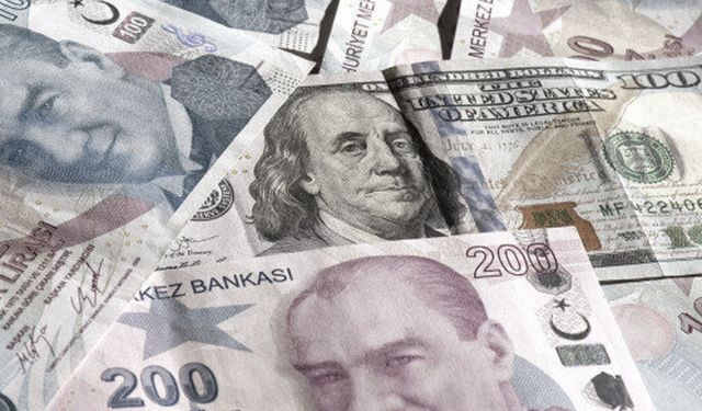 Dolar bazında yıllara göre asgari ücret