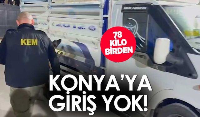 Konya'da 78 kilogram skunk ele geçirildi, 2 şüpheli tutuklandı