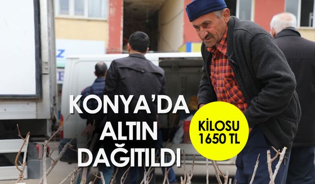Konya'da altın dağıtıldı: Kilosu 1650 TL