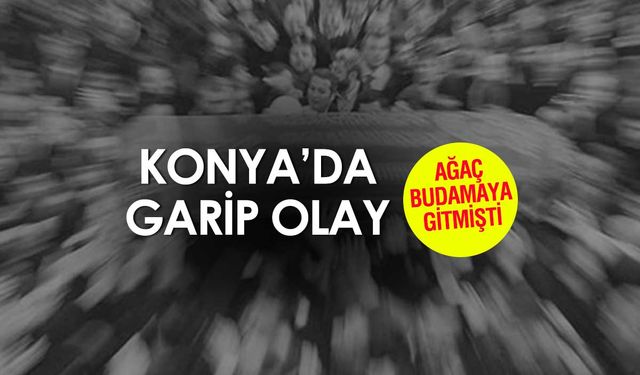 Beyşehir'de Garip Olay! Ağaç Budamaya Gitti, Tabutu Geldi