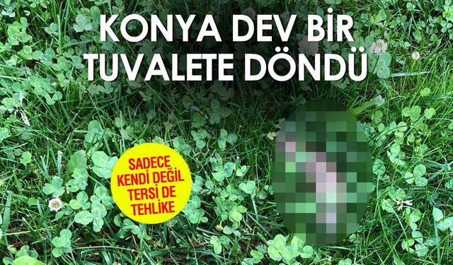 Konya Sokaklarındaki ve Yeşil Alanlarındaki Gizli Tehlike