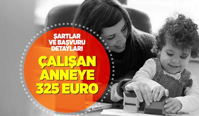Çalışan Anneler İçin 325 Euro Destek: Başvuru Şartları ve Detaylar