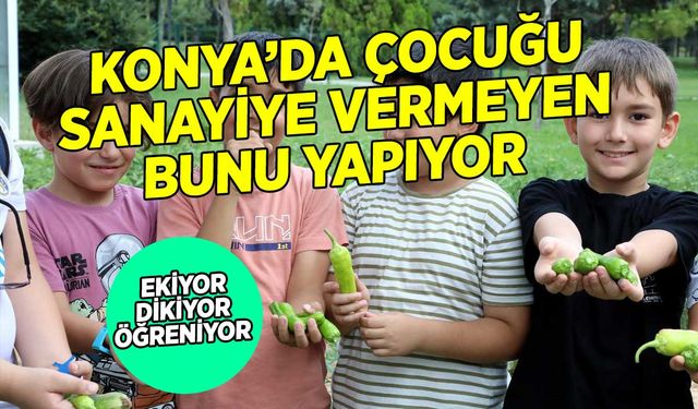 Karatay Tabiat Mektebi: Konya'da çocuklar ekiyor, dikiyor, öğreniyor, eğleniyor