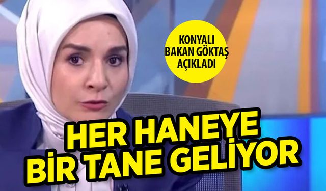 Mahinur Özdemir Göktaş: Her Hanede Bir Aile Danışmanı Olacak