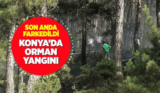 Konya'da orman yangını tam zamanında fark edildi