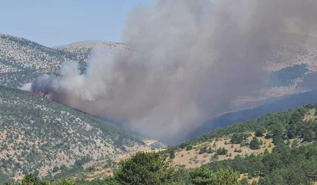 Ilgın'da Orman Yangını Alarmı! Ekipler Müdahale Ediyor