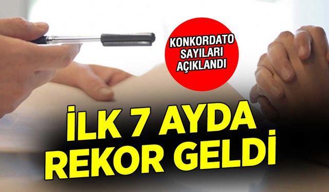 Ekonomik kriz, konkordato taleplerini artırdı: 2024'ün ilk yedi ayında 1554 şirket konkordato talep etti