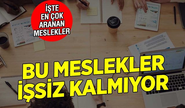 2024’ün En Çok Aranan Meslekleri: Bu İşler İşsizlik Riskini Ortadan Kaldırıyor