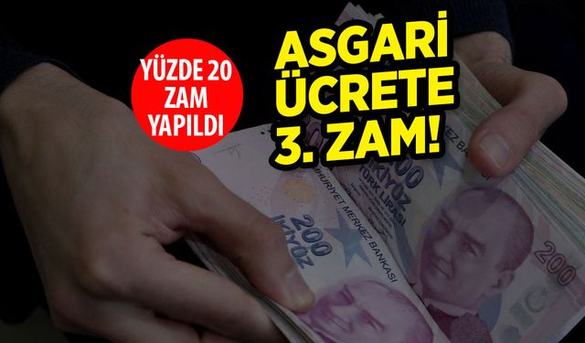 Yavru Vatandan Asgari Ücrete 3. Zam