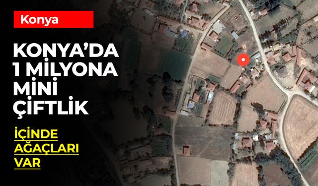 Konya'da 1 Milyon Liraya Mini Çiftlik