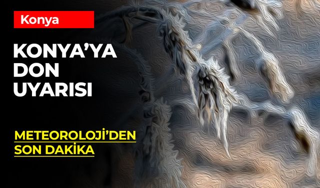 Konya ve Çevresine Zirai Don Uyarısı!