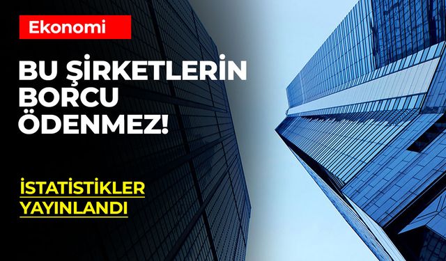 Türkiye Ekonomisi 2023'te Büyüdü Ama Hanehalkı Tasarrufları Düşüşte.. Mali Şirketler Şaşırtıcı Performans Sergiledi!