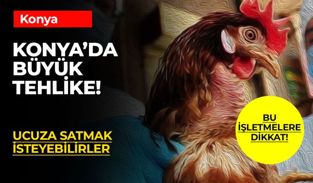 Kuş Gribi Alarmı! Konya'da Yumurta ve Beyaz Ette Sahtekarlık Tehlikesi