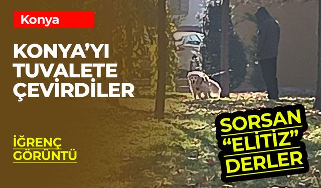 Konya'da Evcil Hayvan Terörü