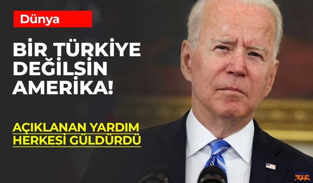 Bir Türk Devleti Değilsin Amerika!