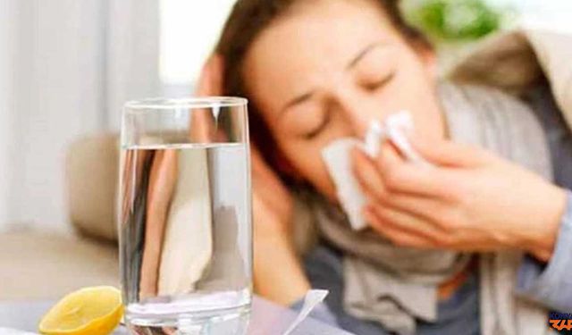 Prof. Dr. Ateş Kara: Influenza Vakaları 2009'daki Domuz Gribi Pandemisi Seviyesinde