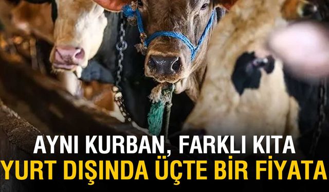 Diyanet 2025 Kurban Vekalet Bedellerini Açıkladı: Yurt İçi 13.500 TL, Yurt Dışı 5.450 TL
