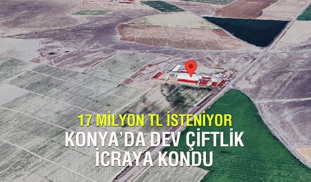 Konya Ereğli'deki Dev Çiftlik İcralık Olarak Satışa Çıktı