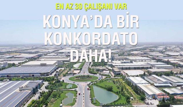 Robotik Hayaller Ertelendi: Konyalı Robomax Konkordato İlan Etti