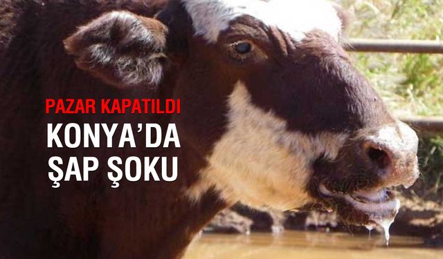 Karapınar Hayvan Pazarı Kapatıldı!