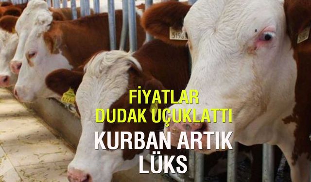 Kurban Hisse Fiyatları Uçtu: İbadet Artık Lüks