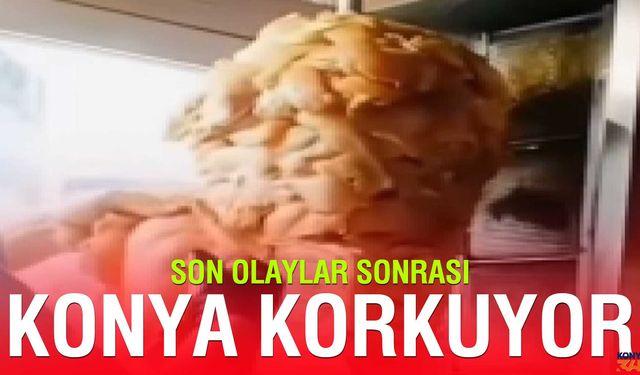 Tavuk Döner Her Zaman Lezzetli Mi? Uzmanlar Uyarıyor