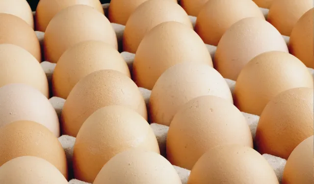 Taze Yumurta İçin 4 Gün Şartı!