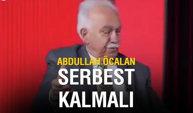 Doğu Perinçek'ten Çarpıcı Açıklamalar: Abdullah Öcalan ile Görüşme Talebi ve Af Yasası Çağrısı