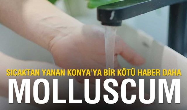 Yaz Aylarında Tehlike Saçıyor: Molluscum Contagiosum Çocuklarda Hızla Yayılıyor!