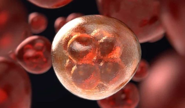 Türkiye'de Her 4 Kişiden 1’i Hepatit B Taşıyor! Uzmanlar Organ Yetmezliği Uyarısında Bulundu