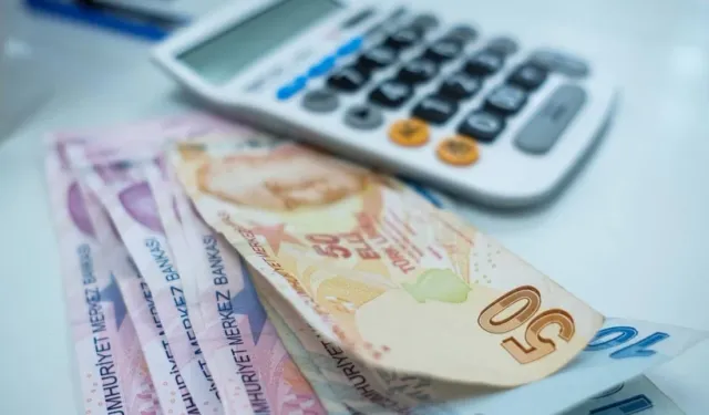 Devlet vergi toplamak için müfettiş atadı