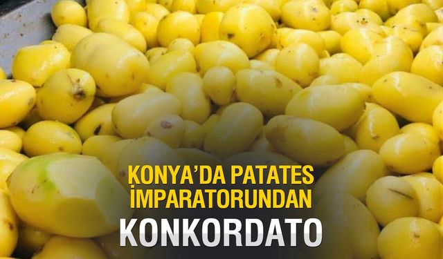 Konya'da patates devinden konkordato