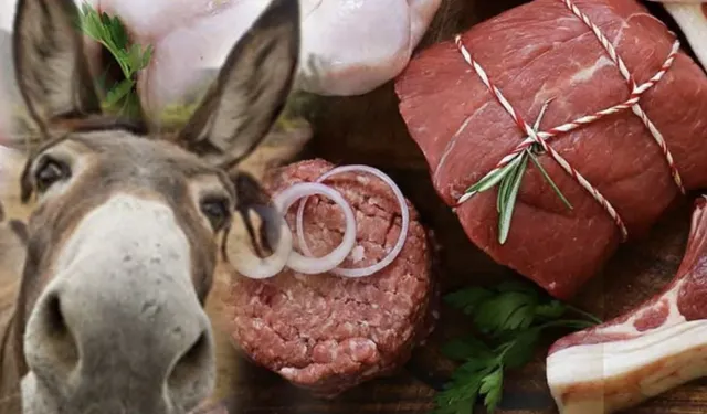 Bakanlıktan Şok Liste: “Dana Sucuk”ta Eşek Eti Tespit Edildi