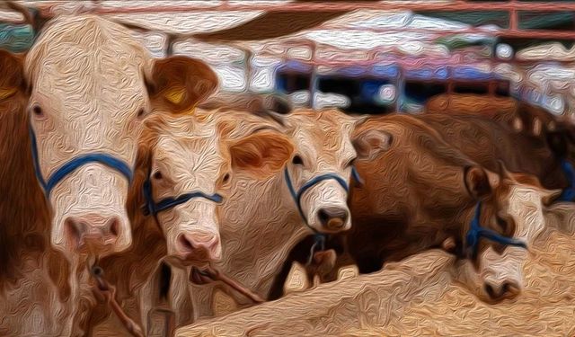 Konya'da ikinci dalga korkusu